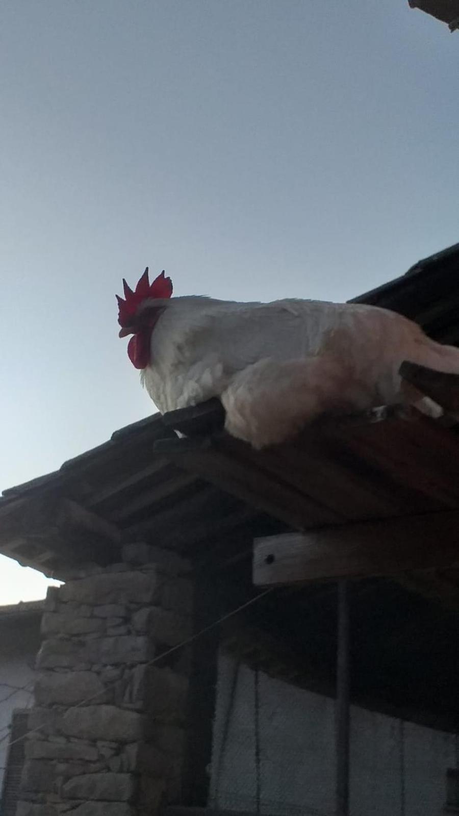 Agriturismo Cascina Knec Feisoglio Luaran gambar